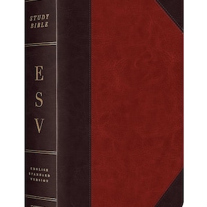 PERSONALISIERTE ESV Studienbibel - Großdruck, TruTone Brown / Cordovan Portfolio-Design - inklusive individuellem Namensaufdruck