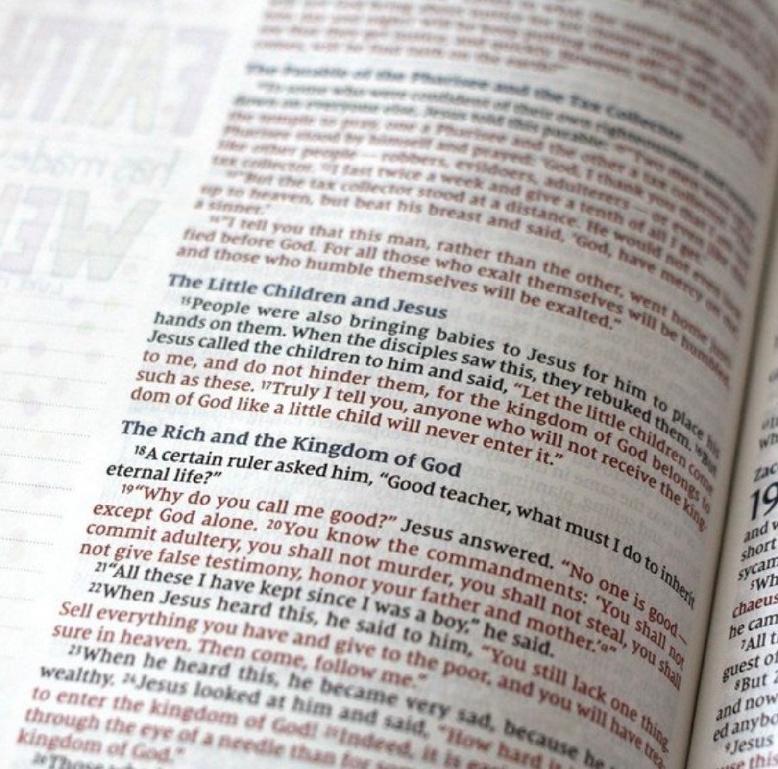 PERSONALIZED NIV Beautiful Word Bible Updated - Etsy