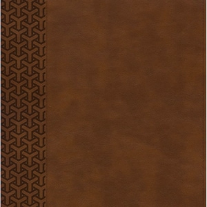 PERSONALIZED *** KJV Everyday Study Bible - Soft Leather-look - British tan *** Custom Name Imprint
