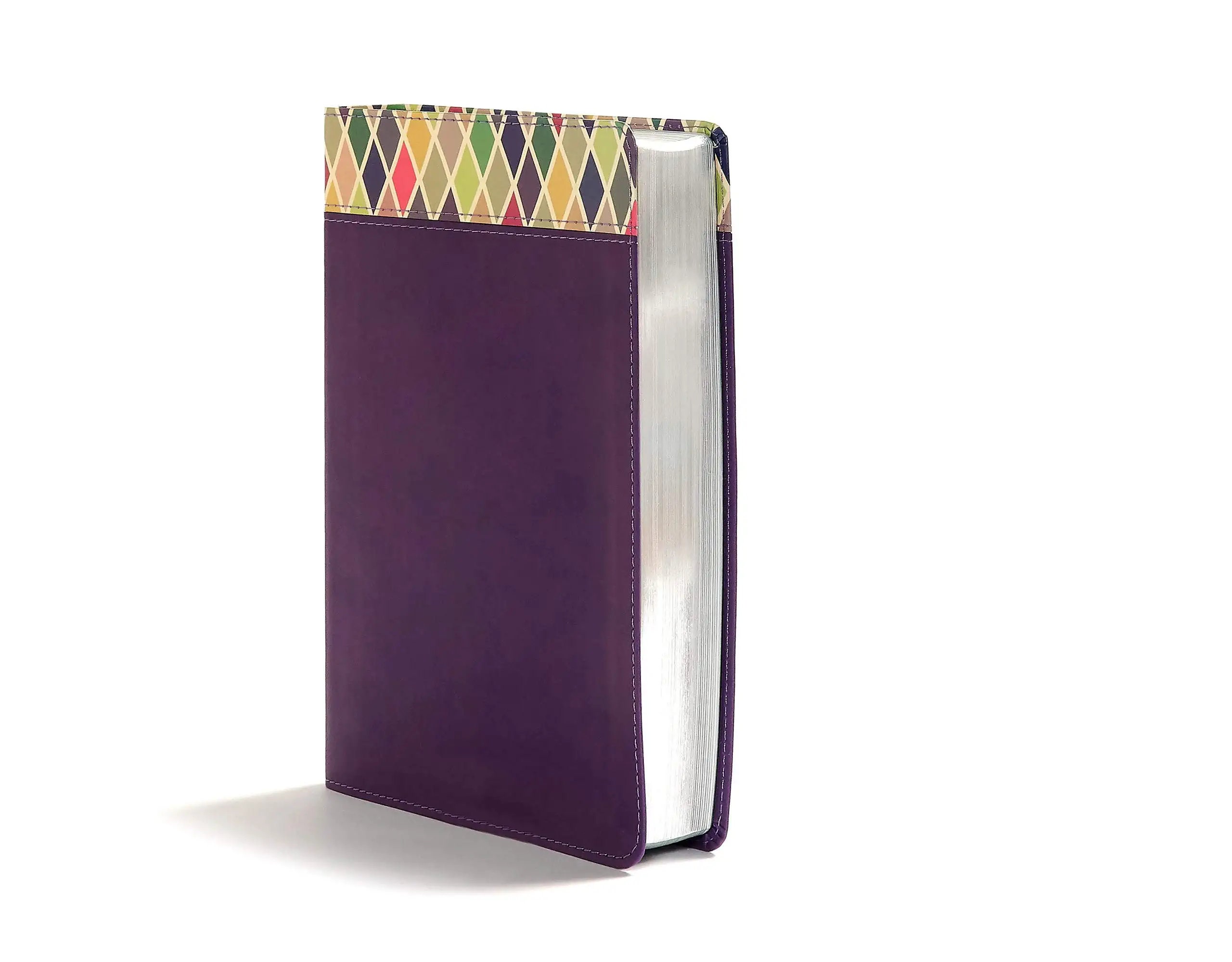CSB Rainbow Study Bible Gray Leathertouch main image 0