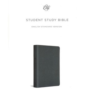 PERSONALIZED         ESV Studenten Bibel, Grau. _**Individueller Namensdruck.**