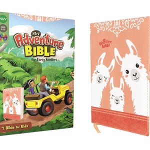 May include: Two children's Bibles. One is a boxed set with the title "Adventure Bible for Early Readers" and a jungle scene. The other is a coral-colored book with llama illustrations. The text "#1 Bible for Kids" is visible on the box.