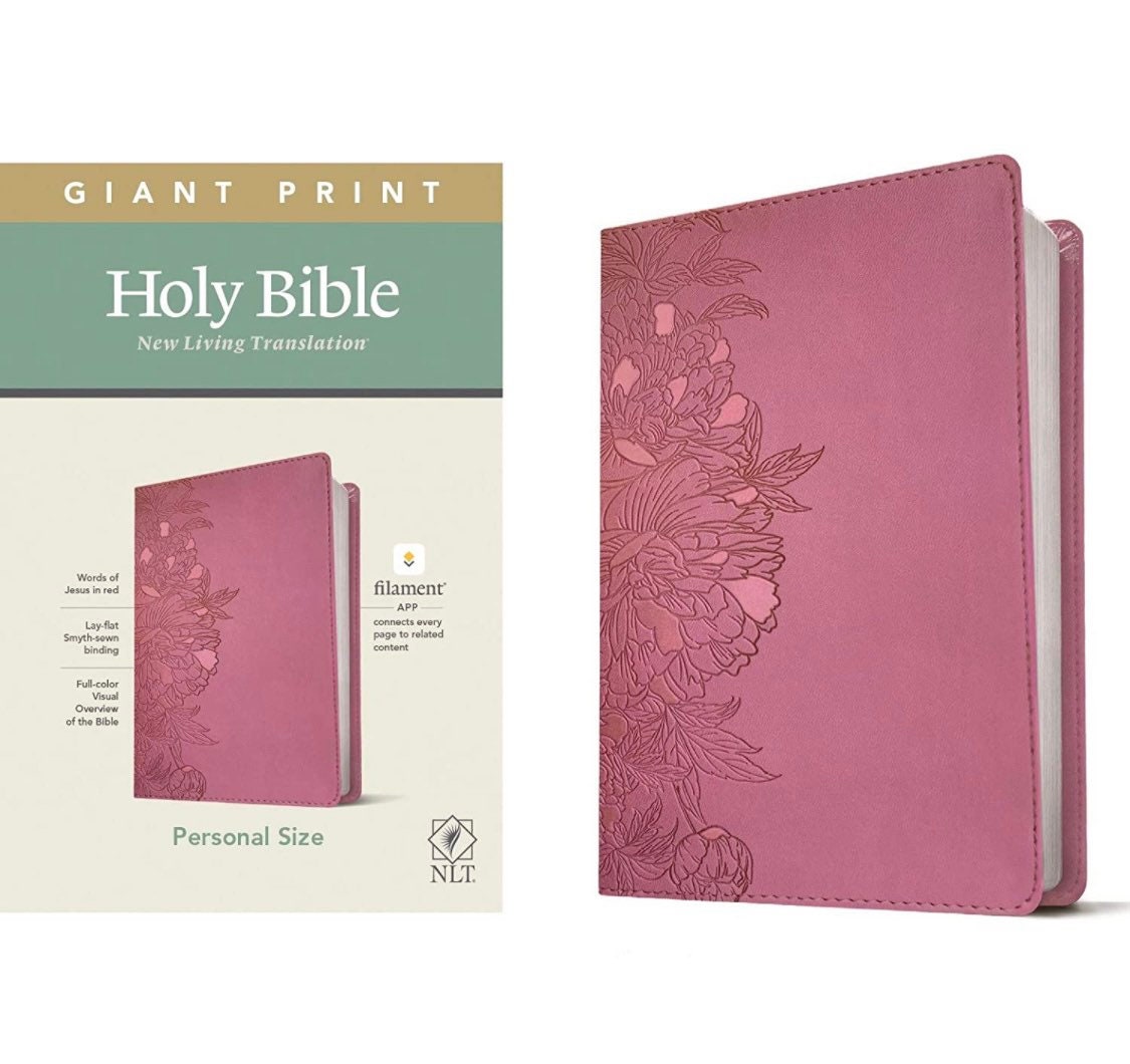 New Bible study supplies 💓 #cute#pink#aesthetic#christianitytiktok#cu, bible study