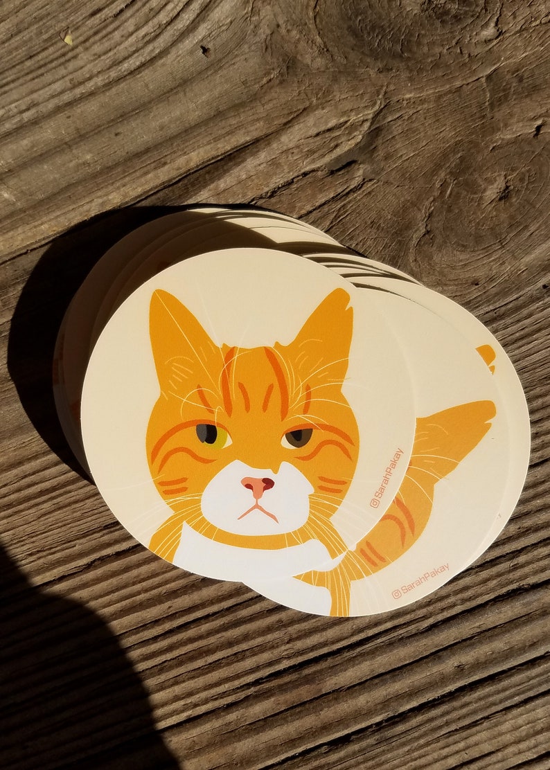 May include: A stack of round stickers featuring a cartoon orange tabby cat with green eyes. The cat has a grumpy expression and is looking directly at the viewer. The stickers have the text "@SarahPakay" on them.