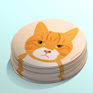 May include: A stack of round stickers featuring a cartoon orange tabby cat with green eyes. The cat has a grumpy expression and is looking directly at the viewer. The sticker has the text "@SarahPakay" in the bottom right corner.