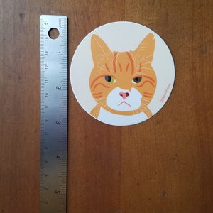 May include: A round sticker with a cartoon illustration of an orange tabby cat with green eyes. The cat has a white patch on its chest and a pink nose. The sticker has a white background and the text "@SarahPakay" in the bottom right corner.