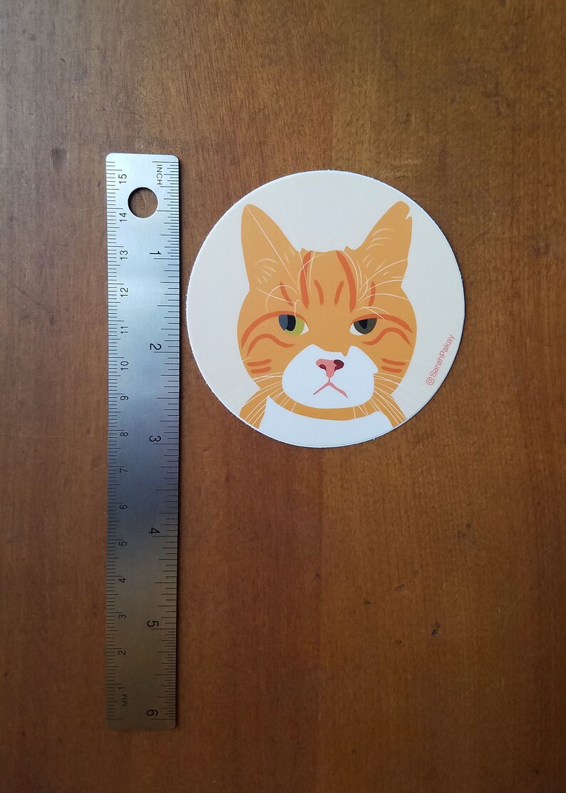 May include: A round sticker with a cartoon illustration of an orange tabby cat with green eyes. The cat has a white patch on its chest and a pink nose. The sticker has a white background and the text "@SarahPakay" in the bottom right corner.