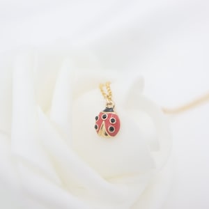 May include: A gold chain necklace with a red and black ladybug pendant.