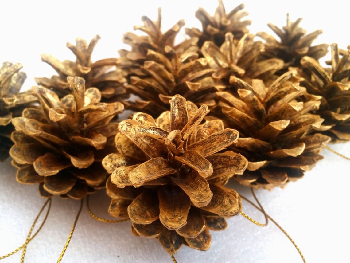 Set of 12 Gold Pine Cones Natural Pine Cones Christmas Tree Etsy