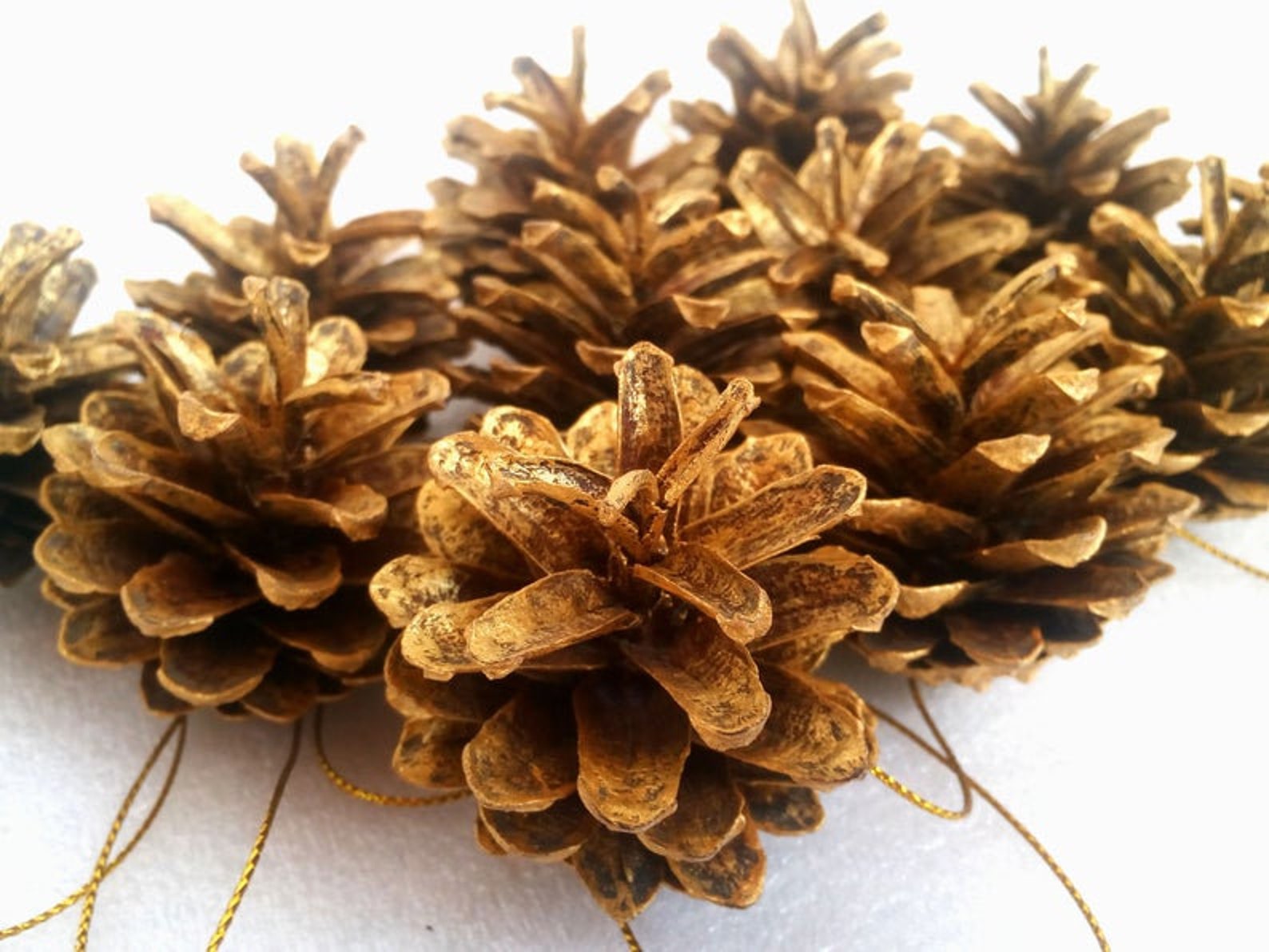 Set of 12 Gold Pine Cones Natural Pine Cones Christmas Tree Etsy