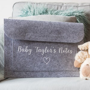 May include: A grey felt storage envelope with the text "Baby Taylor's Notes" and a small heart design.