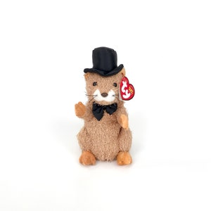 TY "PUNXSUTAWN-e PHIL 2004" the Groundhog // Beanie Baby