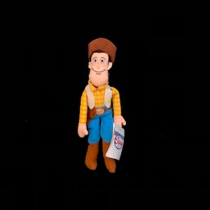 May include: A plush toy of the character Woody from the Disney Pixar film Toy Story. Woody is wearing a brown cowboy hat, a yellow plaid shirt, a tan vest, blue pants, and brown boots. He is holding a tag with the Disney logo.