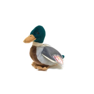 May include: A plush toy duck with a green head, brown body, and gray wings. The duck has a red and white Ty tag attached to its wing.