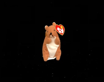 TY Nuts the Squirrel 1999 Teenie Beanie Etsy