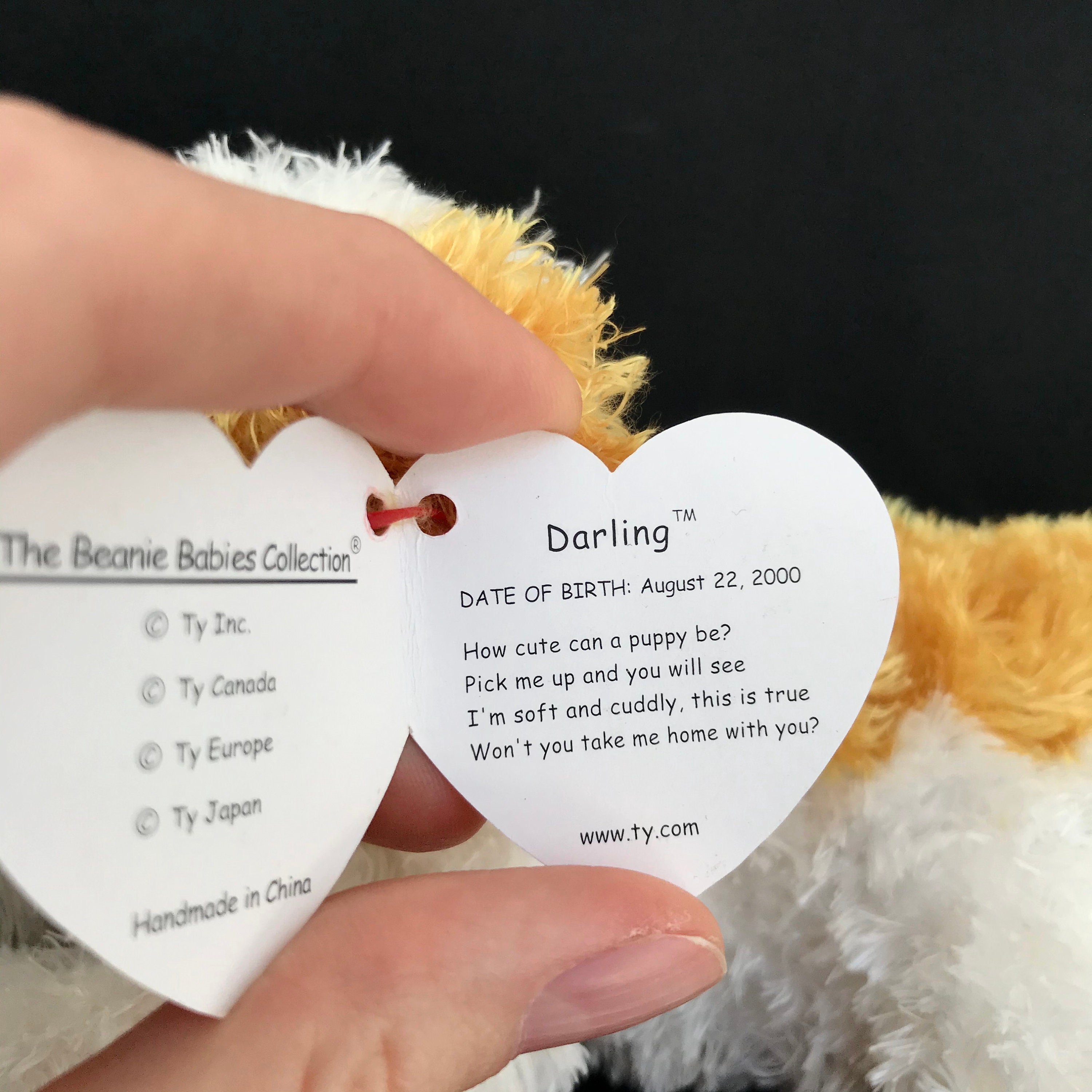 Vintage TY Darling the Dog 2000 Beanie Baby Etsy