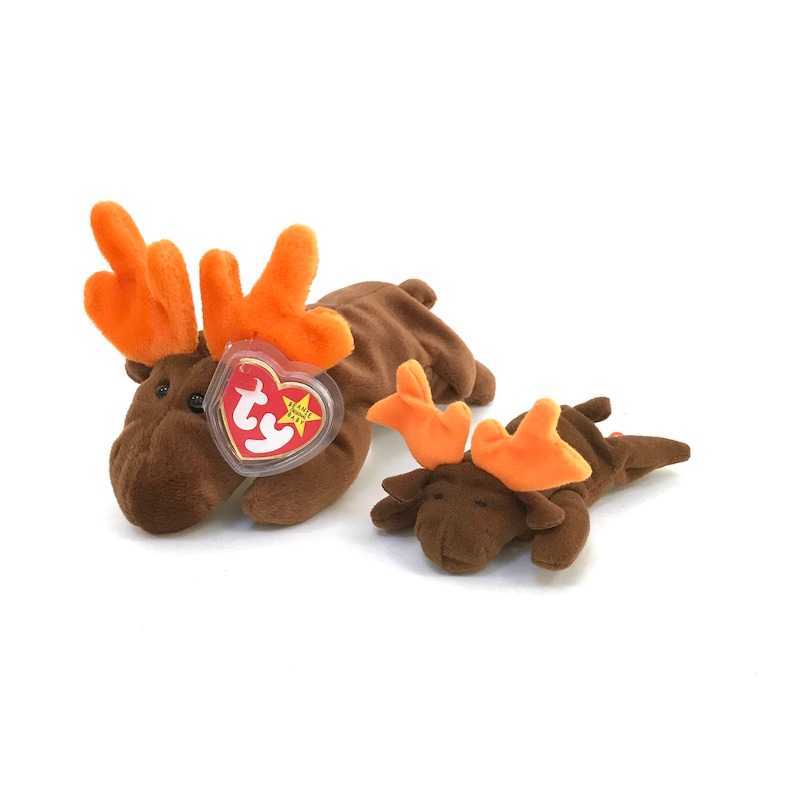 TY Chocolate the Moose 1993 Beanie Baby - Etsy