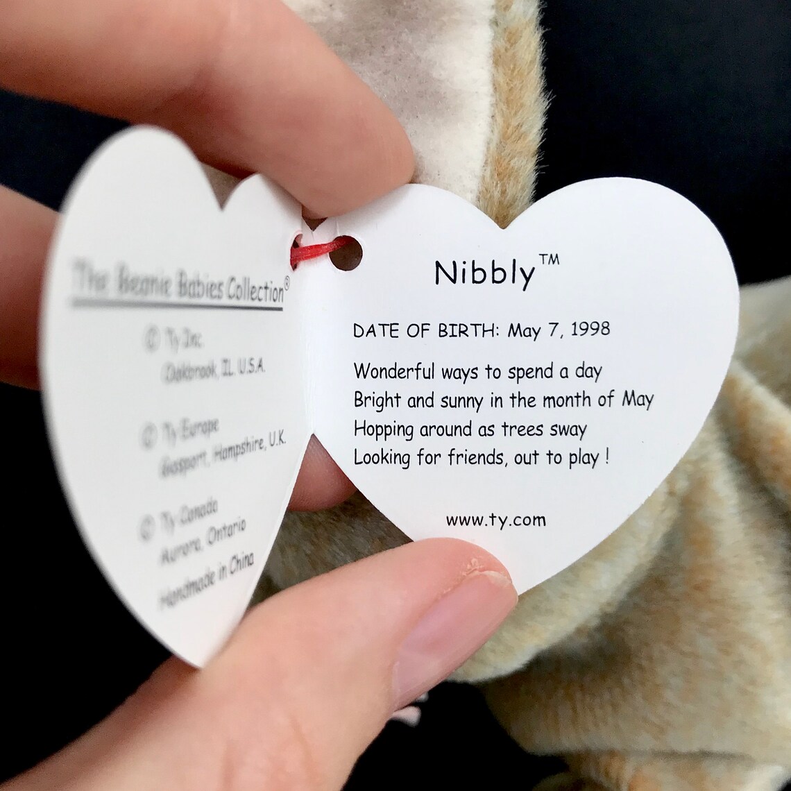 TY Nibbler & Nibbly the Rabbits 1998 Beanie Baby Bundle Etsy