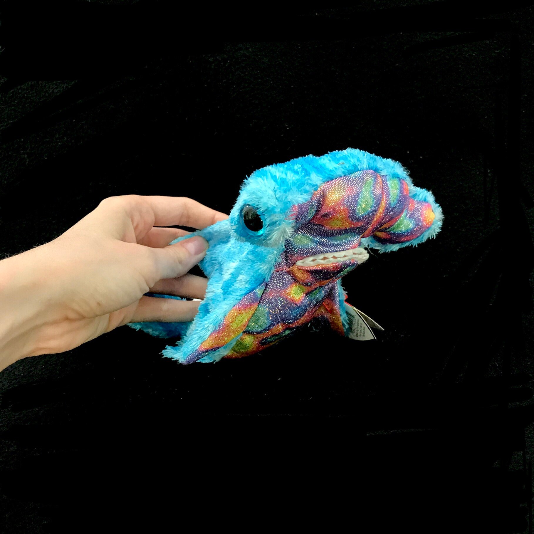 TY Sledge the Hammerhead Shark 2002 Beanie Baby Etsy