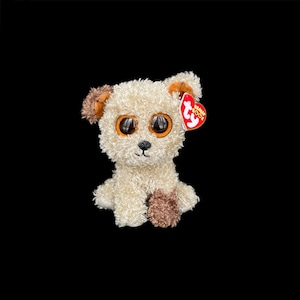 TY "Rootbeer" the Dog // The Beanie Boo's Collection