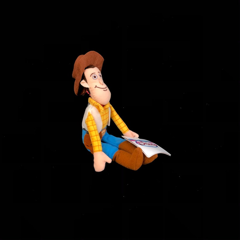 May include: A plush toy of the character Woody from the animated film Toy Story. Woody is wearing a brown cowboy hat, a yellow plaid shirt, blue pants, and brown boots. He is holding a book with a colorful cover.