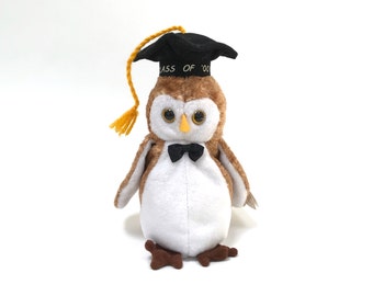 Vintage TY "Wisest" the Graduation Owl (2000) Beanie Baby