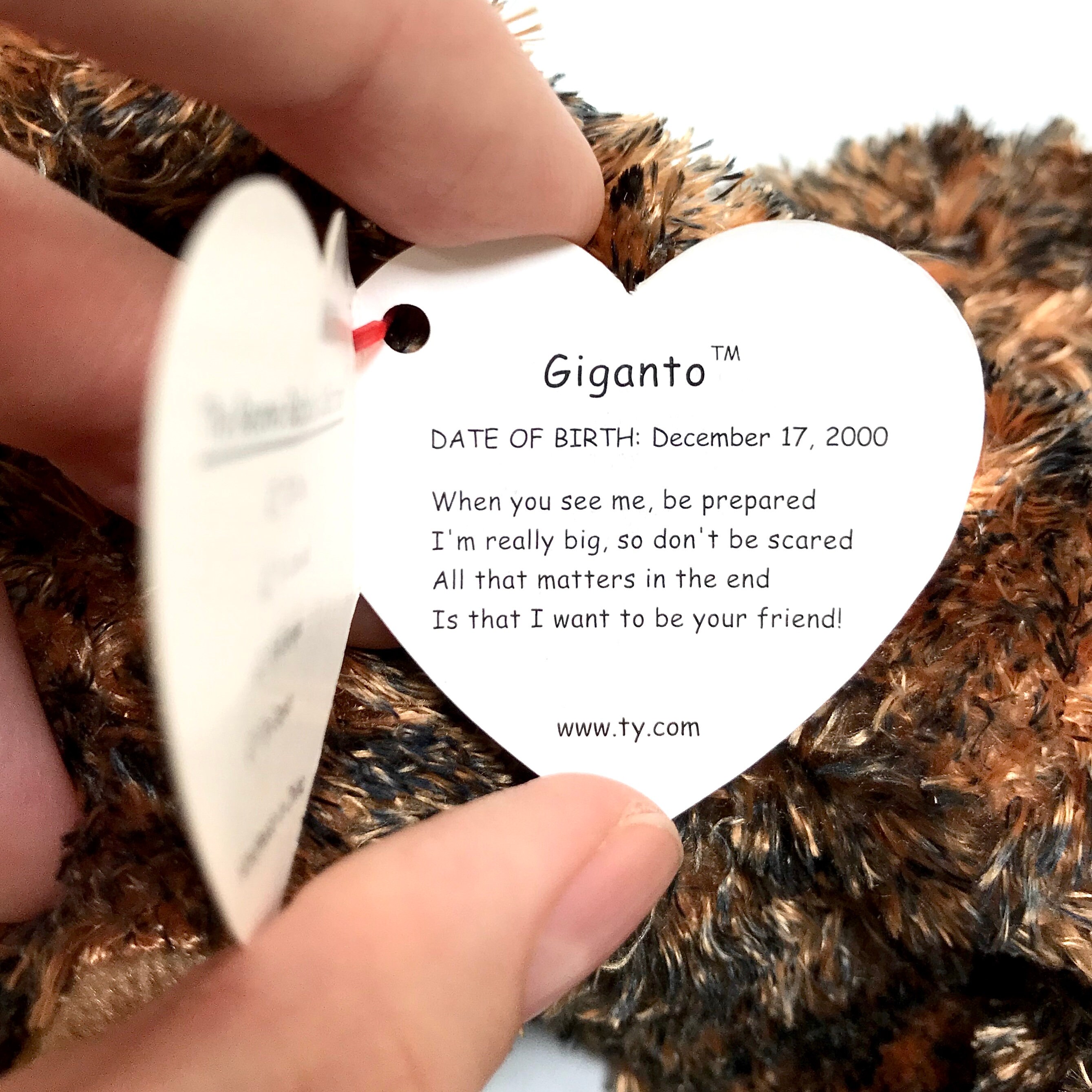 Vintage TY giganto the Mammoth 2000 Beanie Baby 4.5 Inches Etsy Denmark