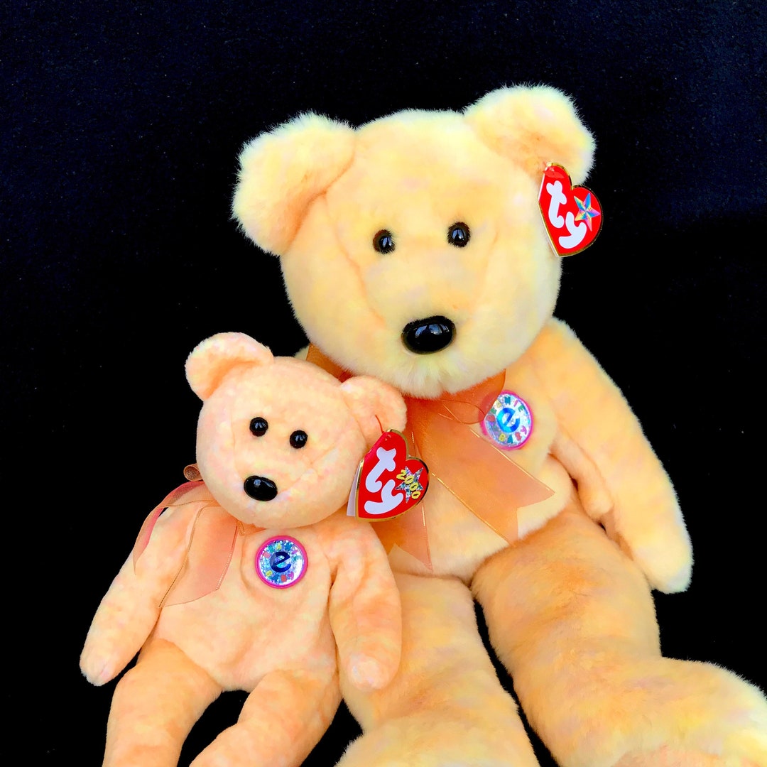 TY Sunny the Bear 2001 Beanie Buddy Etsy