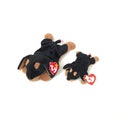 TY Doby the Doberman Pinscher (1996) Beanie Baby