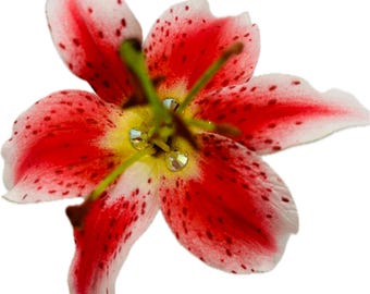 May include: A red and white lily flower with white speckles. The flower has a yellow center with three clear rhinestones.