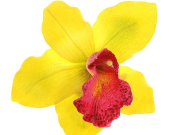 Peut inclure: Une seule orchidée jaune avec un centre rouge et jaune. La fleur est isolée sur un fond blanc.
