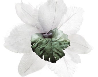 Peut inclure: Une orchidée en plumes blanches avec un centre vert. L'orchidée est une fleur délicate et magnifique.