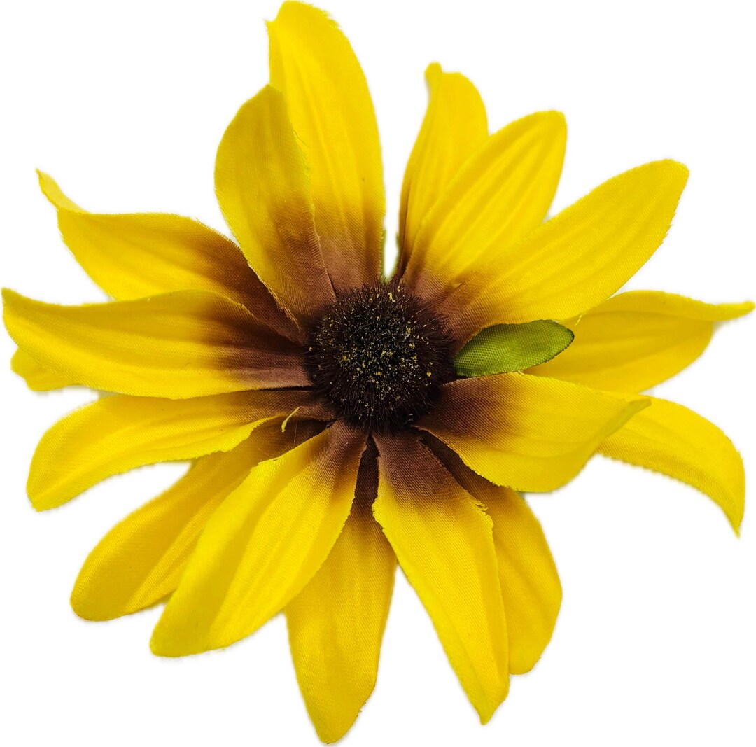 Black Eyed Susan Flower Pin: Maryland State Flower Brooch, Hair Clip (3 ...