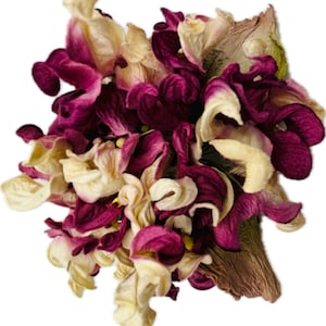 Karin’s Garden 4 1/2” Vintage Hydrangea Pin
