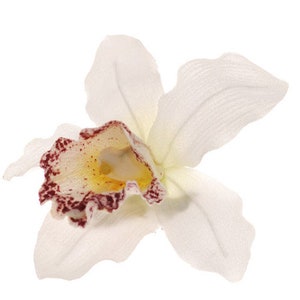 Karin&#39;s Garden Chloe 3 1/2&quot; White Vanda Orchid Clip Made in the USA.  Cotton blend.   As Seen In: SHOP Magazine