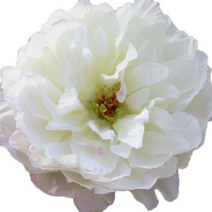 May include: A single white peony flower with a yellow center and red accents. The flower is in full bloom and has many petals.