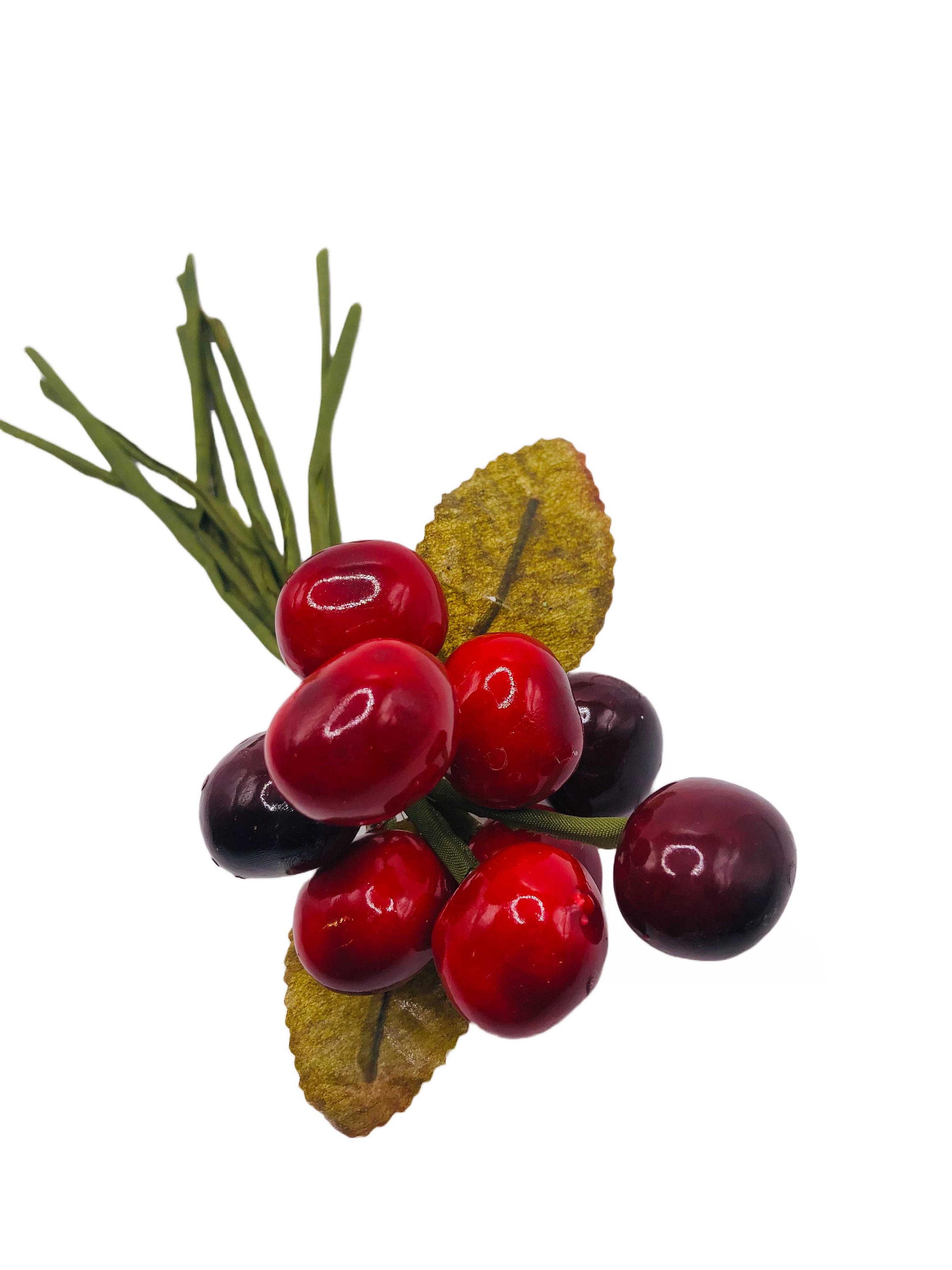 Cherry Brooch - Etsy