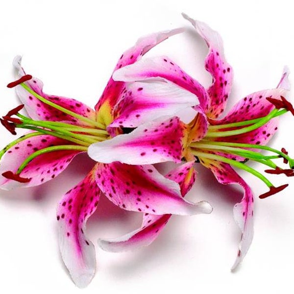 Karin's Garden - Made in the USA - Life like lilies - Tropical Tiger Lily Hair Clip -  French Auto Barrette