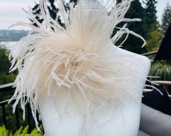 Ivory Ostrich Feather Pin, Grand Dietrich Style