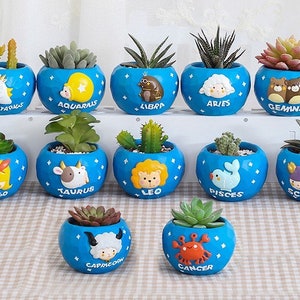 Astrology Gifts, Zodiac Gifts, Cute Planter,Constellation Astrology Decor Zodiac Candle Holder,Star Sign Gifts for Her/Him, Zodiac Sign Pot!