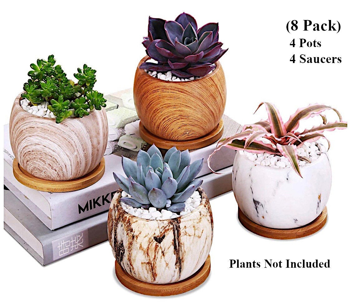 Small Succulent Plant Pots with Drainage, Small Planter Pot, Ceramic …