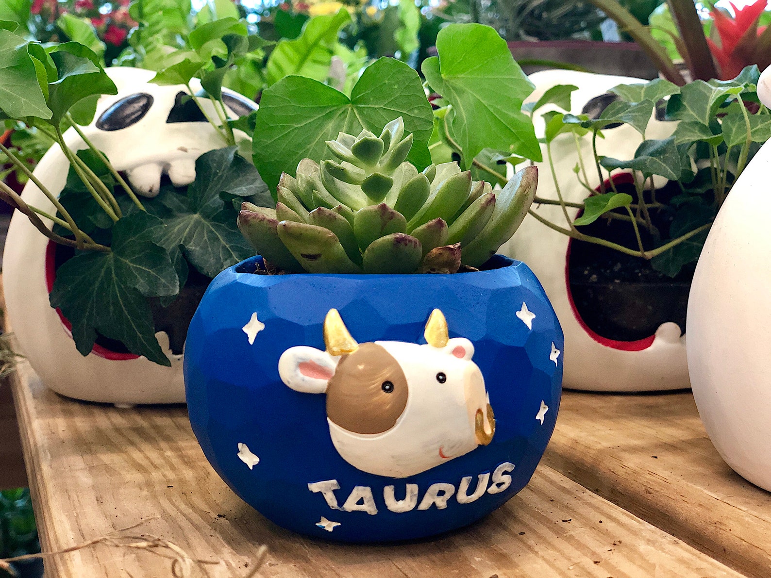 Astrology Gifts Zodiac Gifts Cute Planterconstellation Etsy