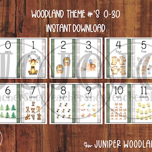 Printable, Waldtiere Zahlen Wandposter, Klassenzimmer Dekor, Waldtiere Klassenzimmer Dekor, #'s 0-30, Juniper Woodland Kollektion