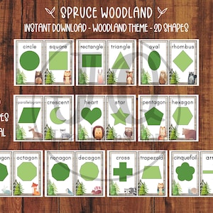 Cartões em formato 2D imprimíveis, decoração de sala de aula com tema de floresta, decoração de classe escolar em casa, decoração de sala de aula, tons de verde