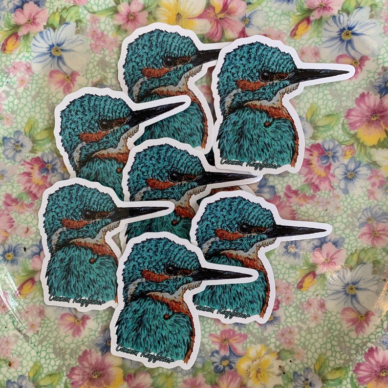 Kingfisher Sticker 5cm - Etsy