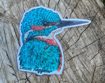 Large Kingfisher sticker 9cm