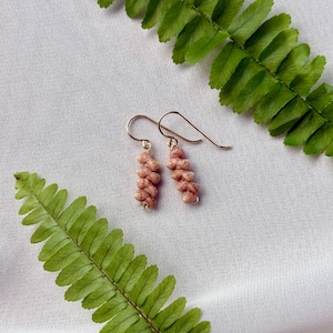 May include: A pair of handmade earrings featuring a cluster of small, light pink beads suspended from gold-colored ear wires. The earrings are displayed on a white surface, with green fern leaves in the background.