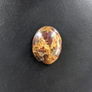 Petrified wood cabochon