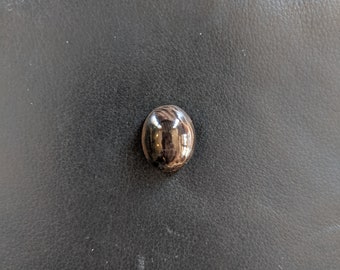 Petrified wood cabochon