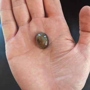 May include: A small, round, brown and gray agate gemstone with a swirling pattern.